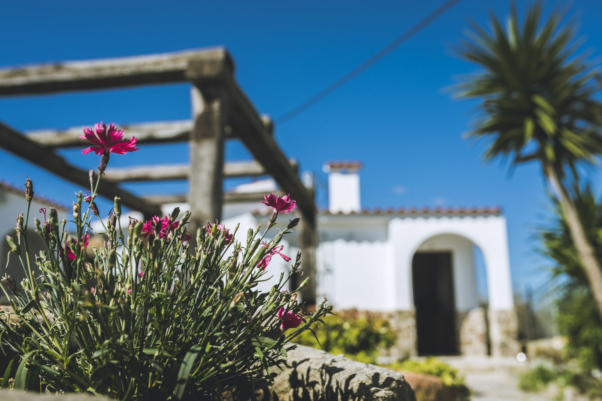 El Rancho Lejlighedshotel Tarifa Eksteriør billede